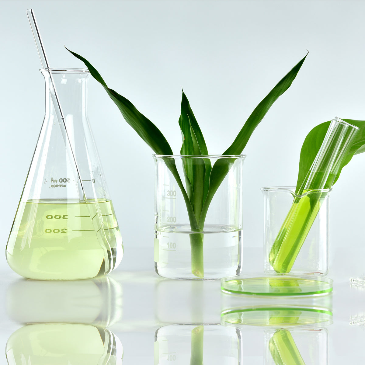 Discover the difference between natural and clean beauty products and ...